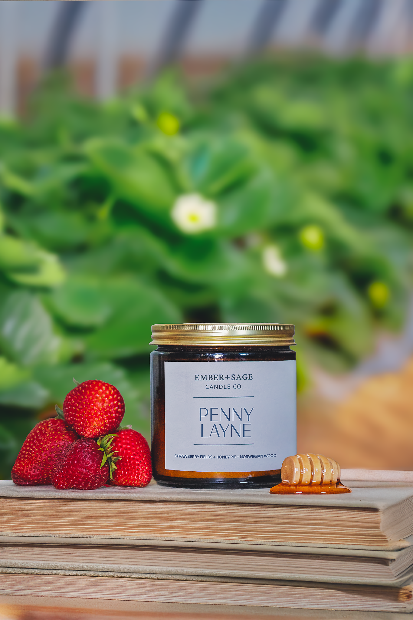 Penny Layne | Hand-Poured Soy Coconut Wax Candle | 16oz with Double Wick