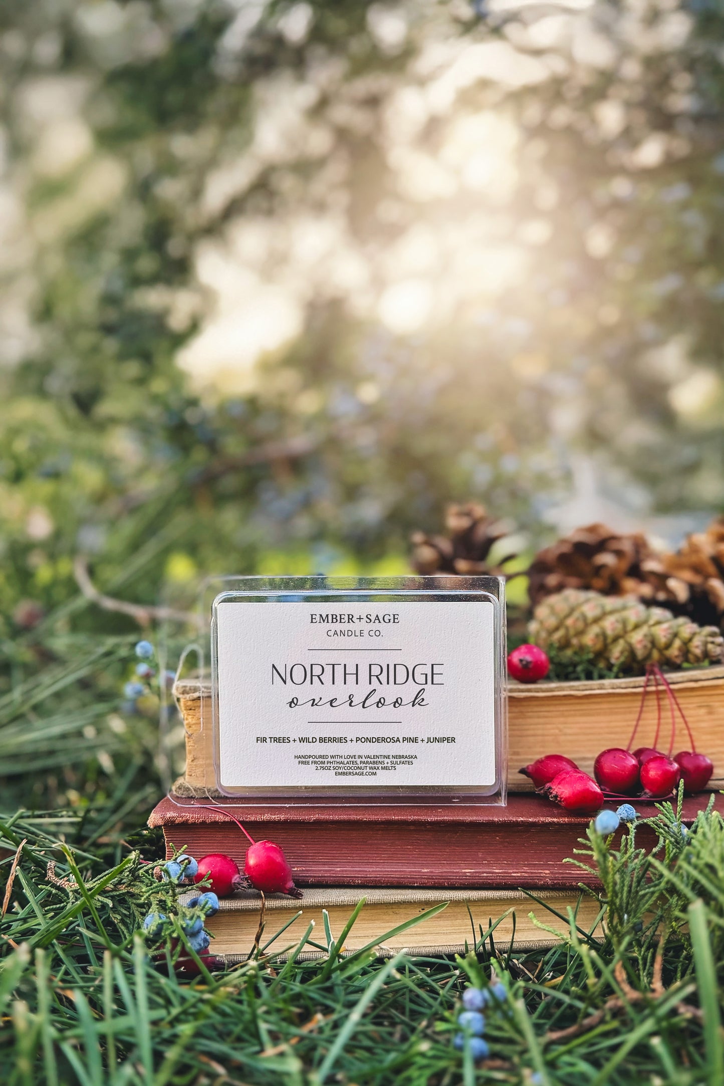 North Ridge Overlook hand-poured Nebraska wax tarts in recyclable container with pine cones, red berries, cedar branches, pine needles and juniper berries on antique books with sunburst through trees in background. Fir Trees, Wild Berries, Ponderosa Pine, Juniper scent.
