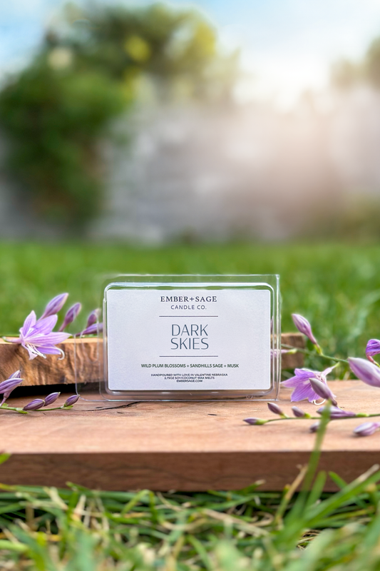 Dark Skies | Hand-Poured Soy Coconut Wax Melt | 2.75oz