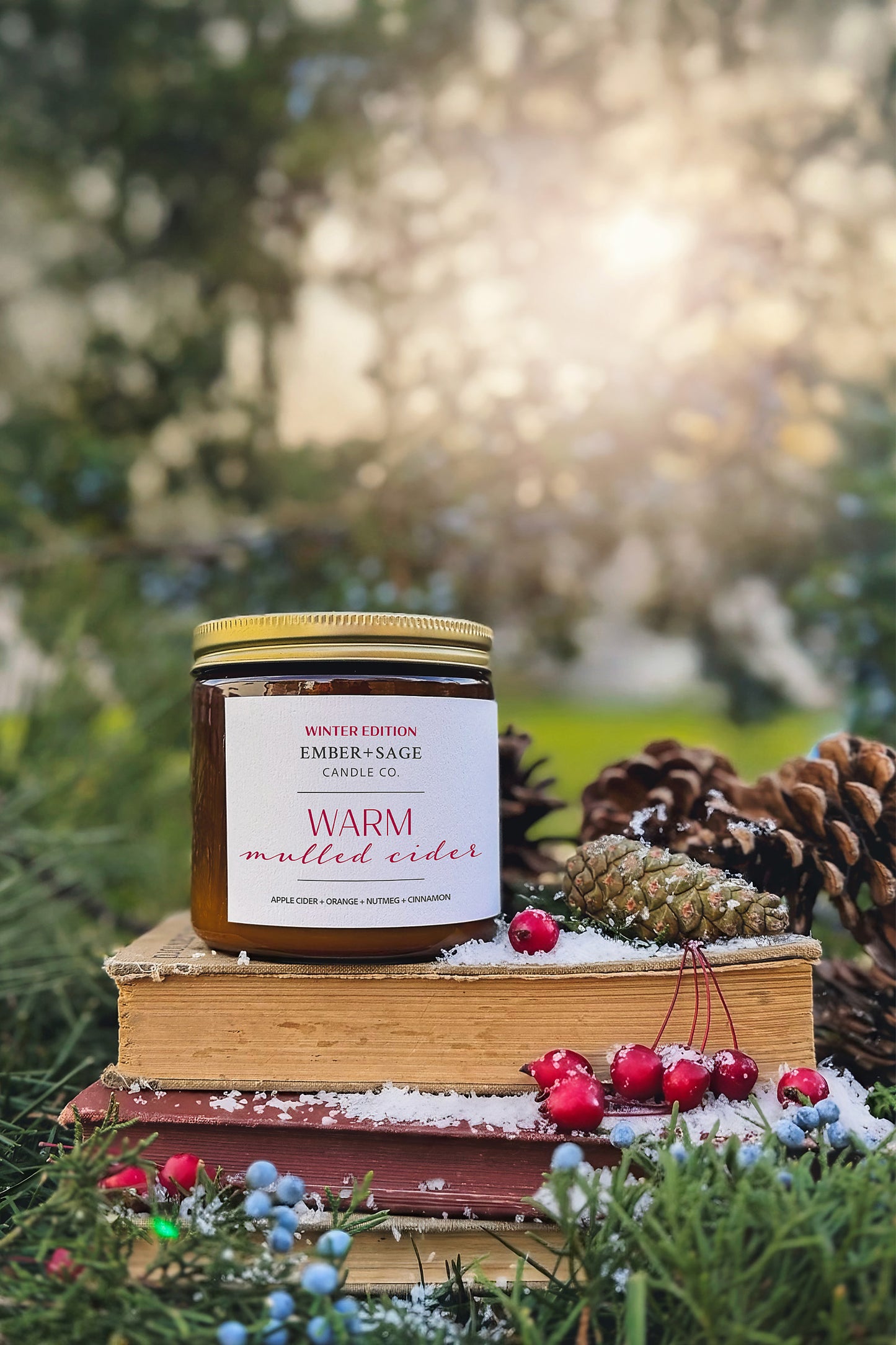 Warm Mulled Cider | Winter Edition | Hand-Poured Soy Coconut Wax Candle | 16oz with Double Wick
